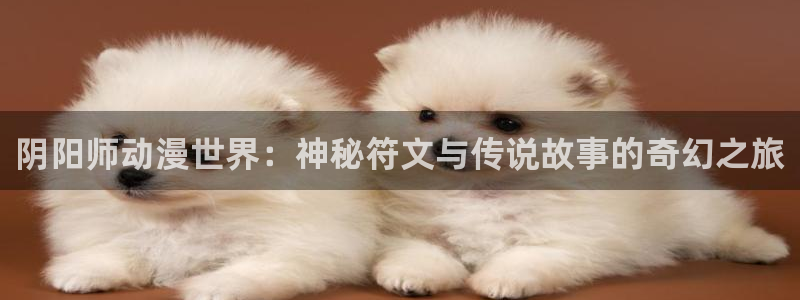 58动漫的网站：阴阳师动漫世界：神秘符文与传说故事的奇幻之旅