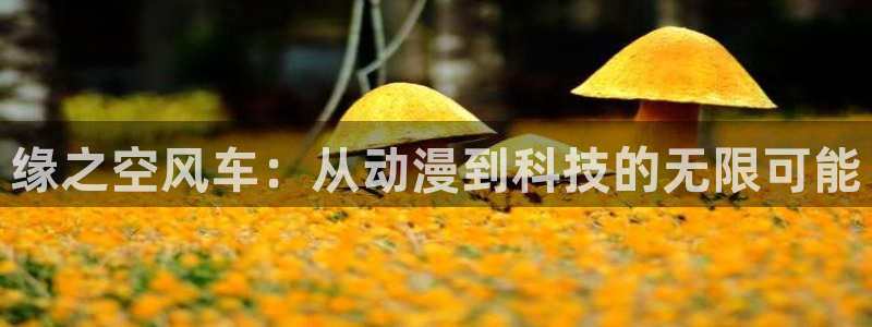 58动漫网站好看的动漫：缘之空风车：从动漫到科技的无限可能