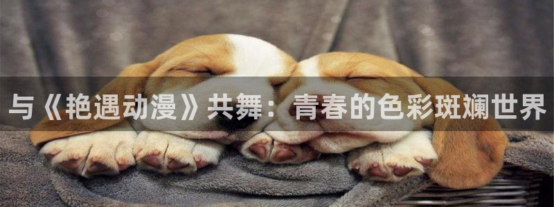 ,58动漫网：与《艳遇动漫》共舞：青春的色彩斑斓世界