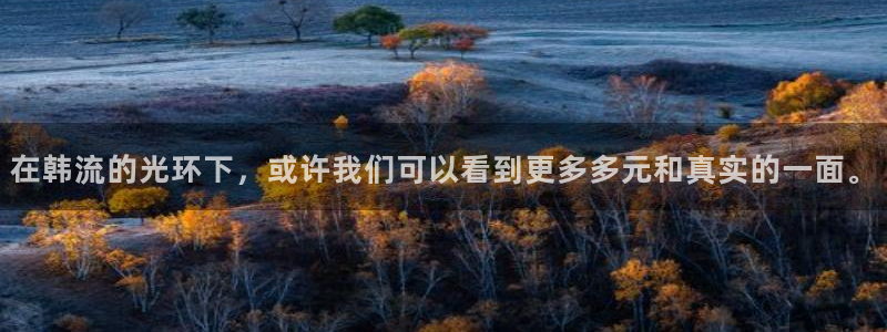 58动漫网站入口免费阅读漫画特点：在韩流的光环下，或许我们可以看到更多多元和真实的一面。