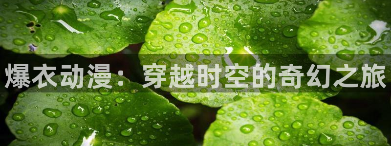 58动漫网：爆衣动漫：穿越时空的奇幻之旅