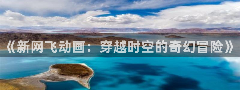 58动漫网站：《新网飞动画：穿越时空的奇幻冒险》